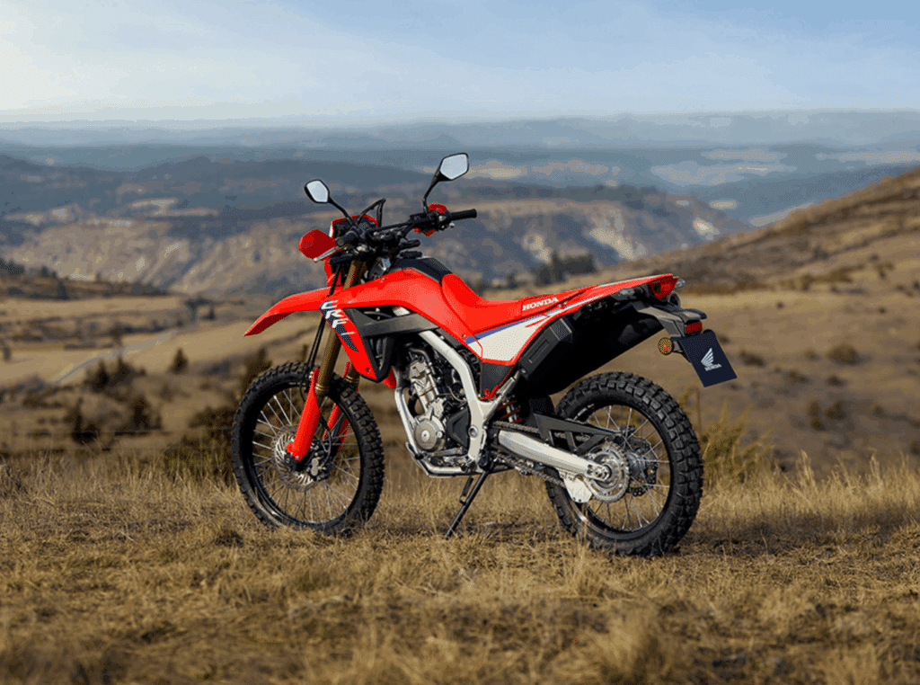 혼다코리아 11월 프로모션