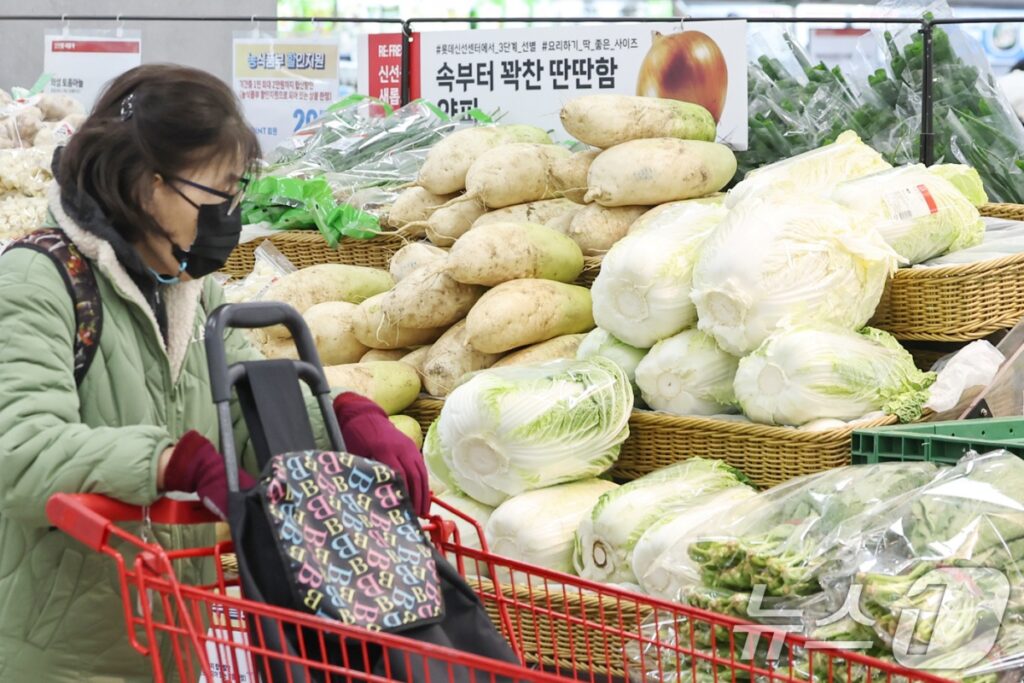 배추