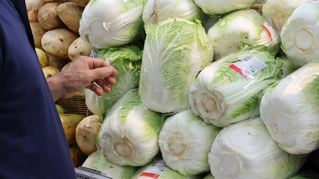 The price of lettuce tripled (6)