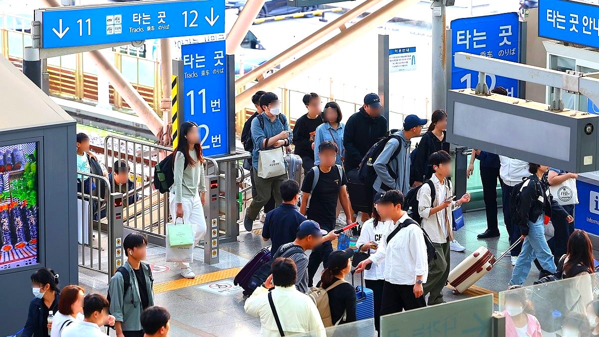 반값 여행