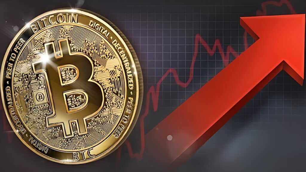 비트코인 악몽 Bitcoin Fluctuating Market Price (7)