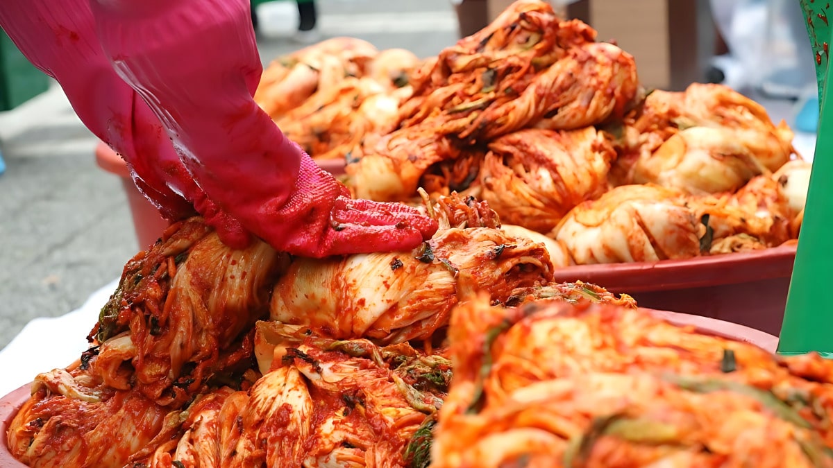 pickled cabbage for kimjang