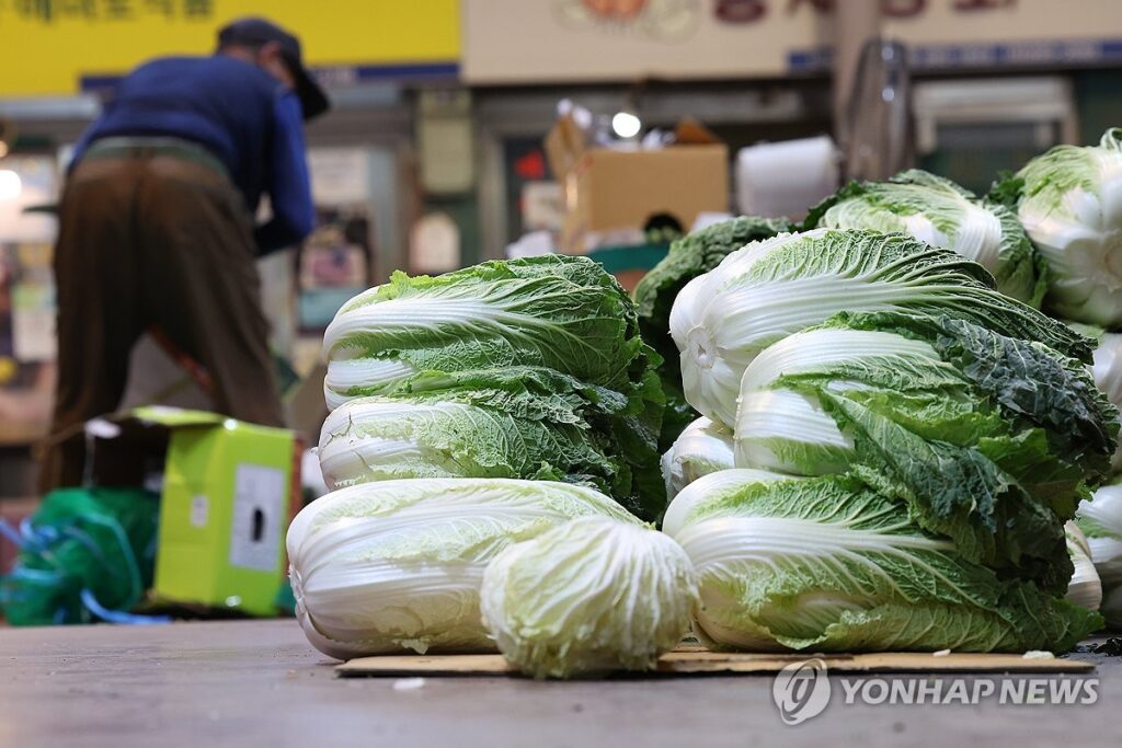 배추