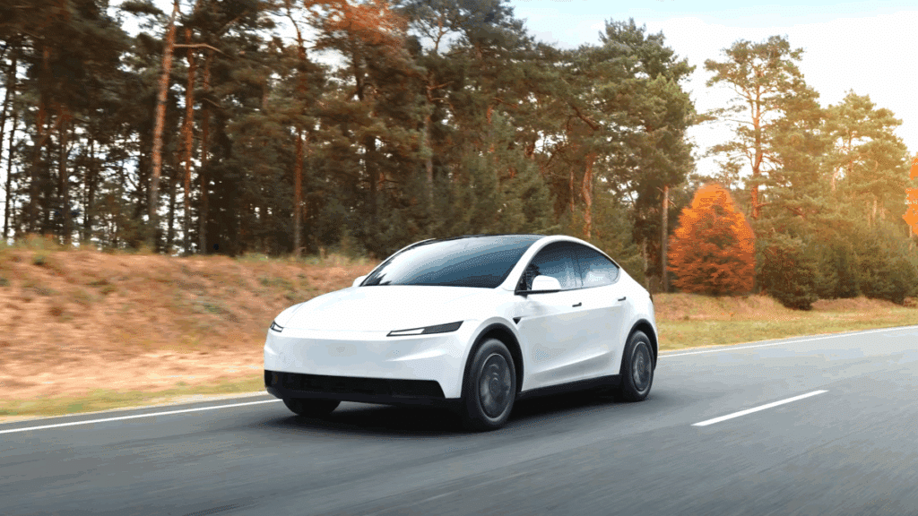 테슬라 모델 Y 중고차 판매량