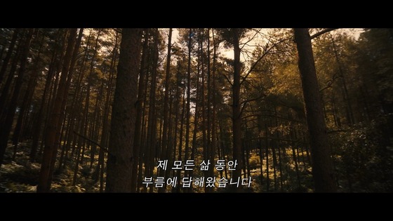  引用：『アベンジャーズ／ドゥームズデイ』、『マイティ・ソー』