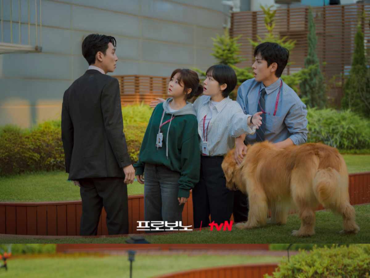  引用：tvNドラマ『プロボノ』