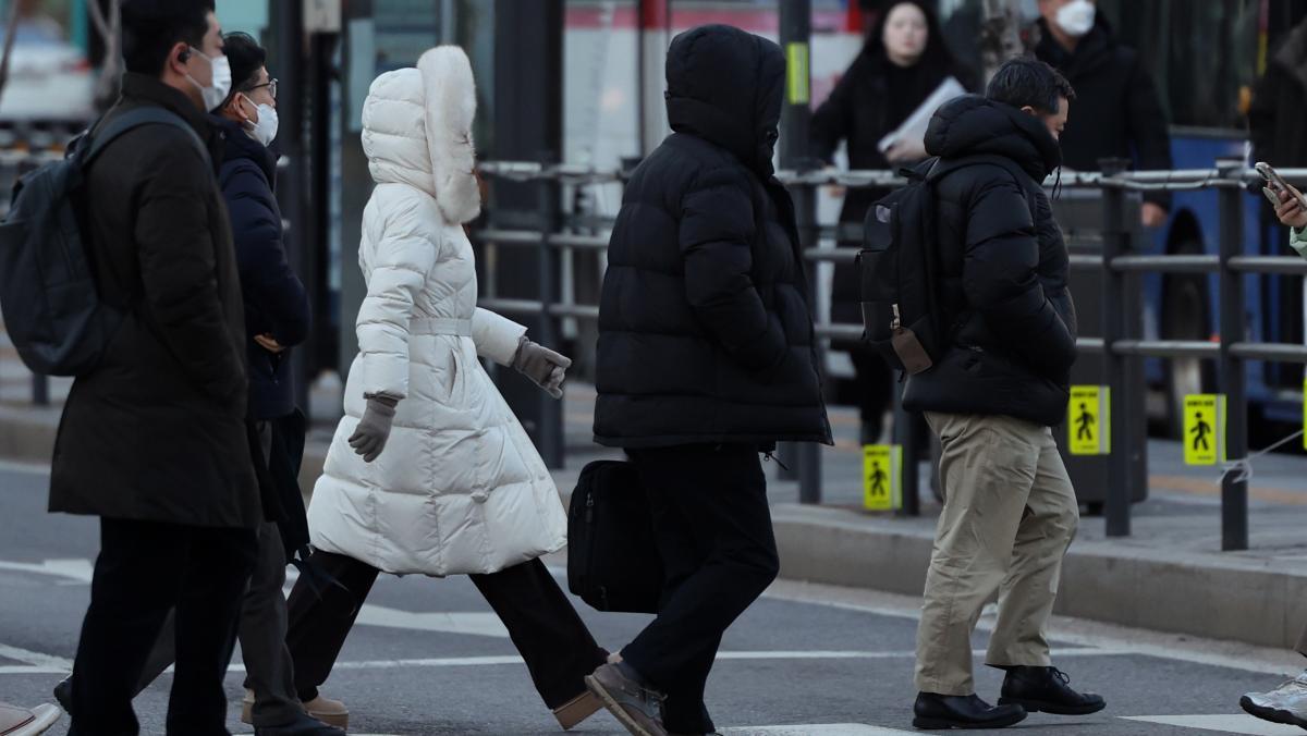  引用：ニュース1