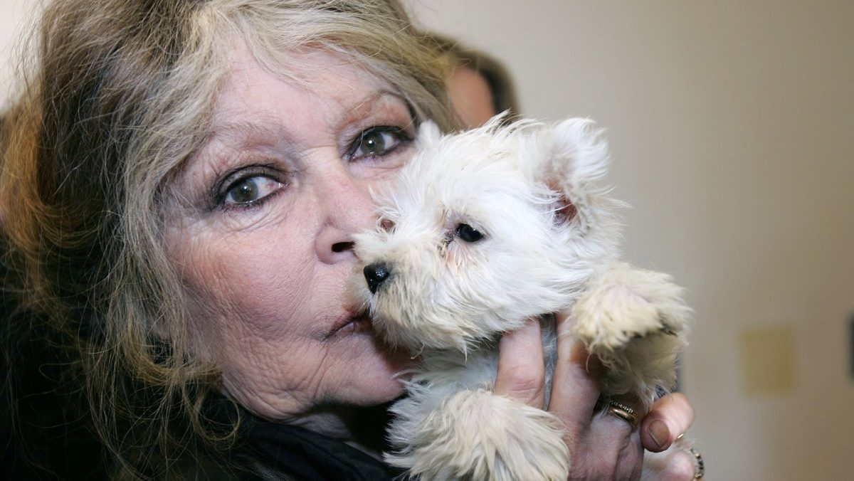 引用：聯合ニュース