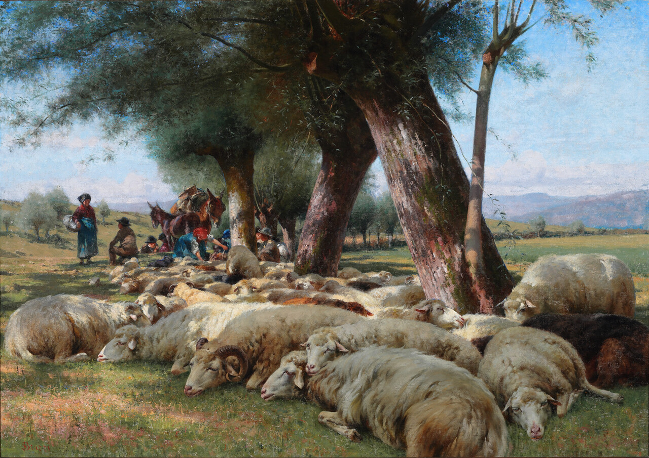 「휴식 중인 양 떼(Sheep at Rest)」, 스테파노 브루치(Stefano Bruzz), c. 1900, 80 x 120 cm [이미지 제공=리치 오디 현대미술관]
