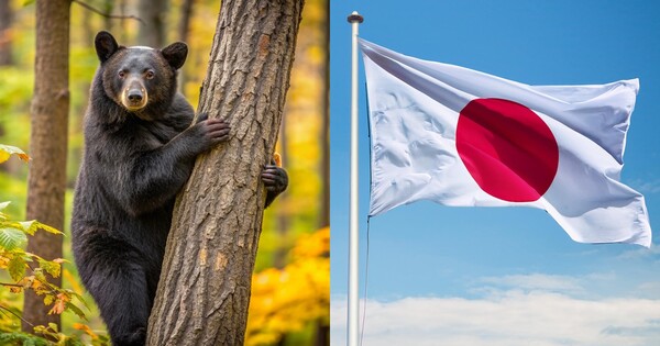 引用： ⓒAdobe Stock