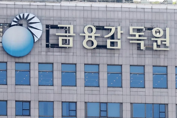 금융감독원이 개인사업자 등 취약부문과 업황 부진이 지속되고 있는 건설, 지방 부동산 등을 중심으로 국내 은행들의 부실 확대를 우려했다. ⓒ뉴스1