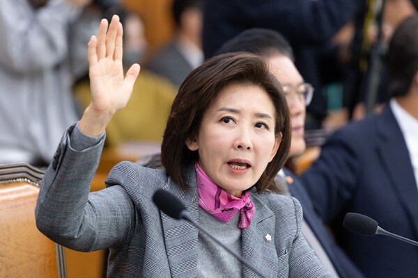 나경원 국민의힘 의원. ⓒ뉴스1