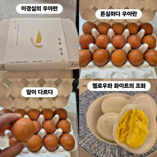 '우아란'을 홍보한 조혜련. ⓒ조혜련 인스타그램