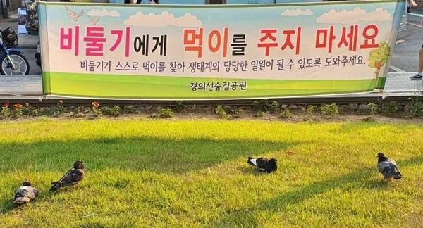 서울 시내 공원에 비둘기에게 먹이를 주지 말아달라는 현수막이 붙어있다. ⓒ뉴스1