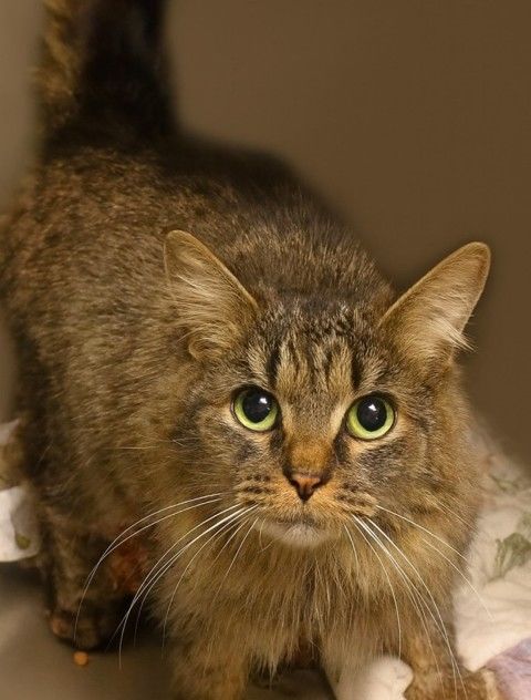 引用： 写真 = Newsis