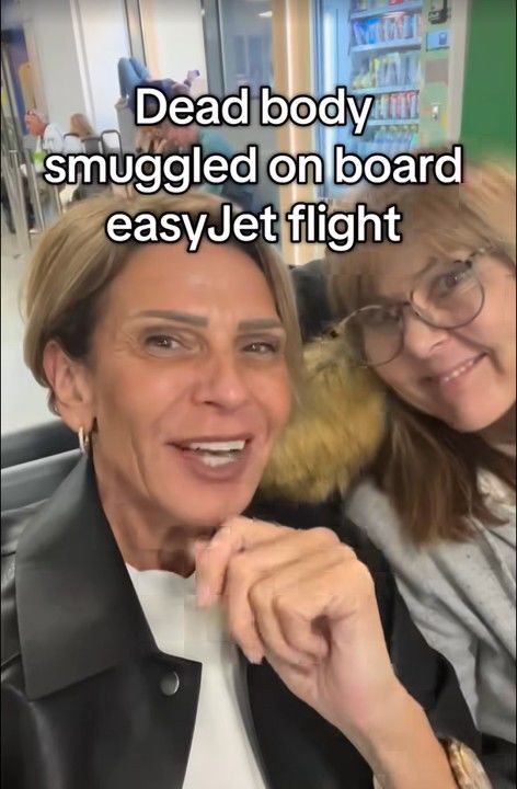  引用：ニューシス