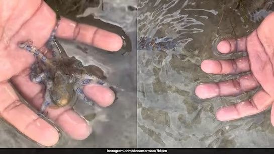 引用：ニューシス