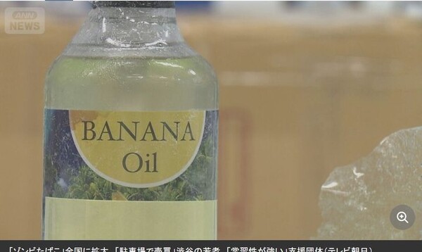 引用:ニューシス