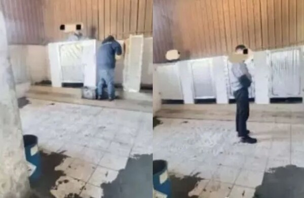 引用:ニューシス