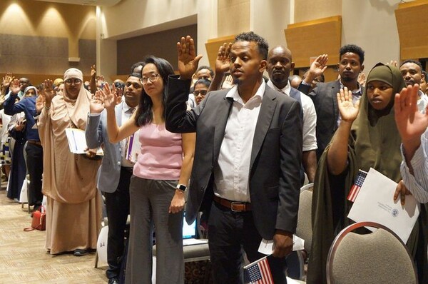 引用:ニューシス