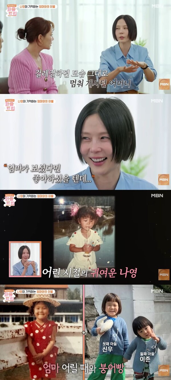 引用:ニューシス