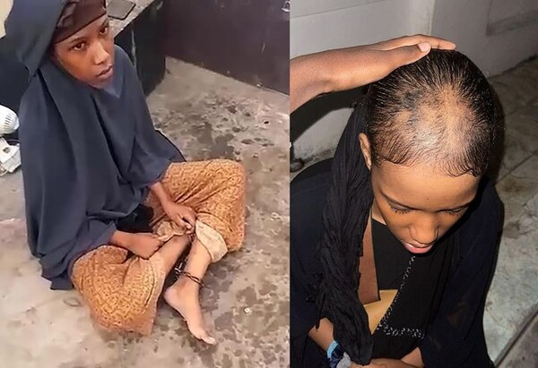 引用：ニューシス