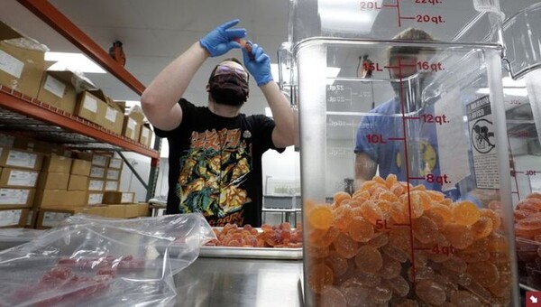 引用:ニューシス