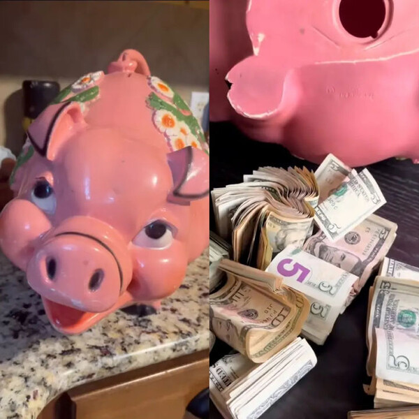 引用:ニューシス