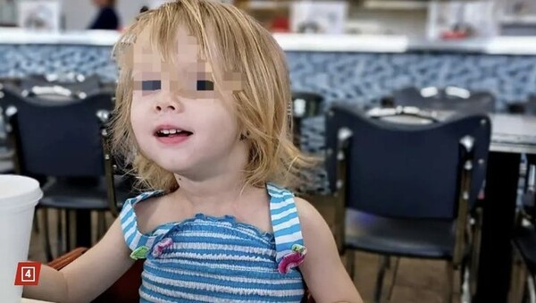 引用:ニューシス