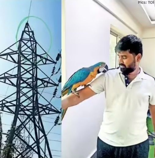 引用:Times of India