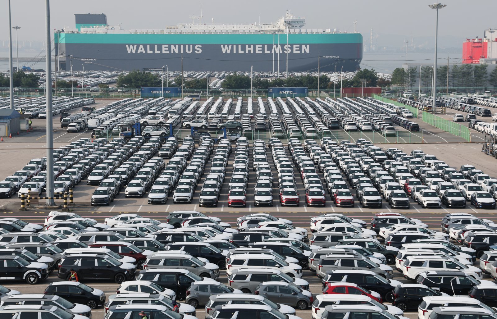 지난 10월 30일 경기 평택시 포승읍 평택항에 수출용 차량이 세워져 있는 모습. 2025.10.30/뉴스1 