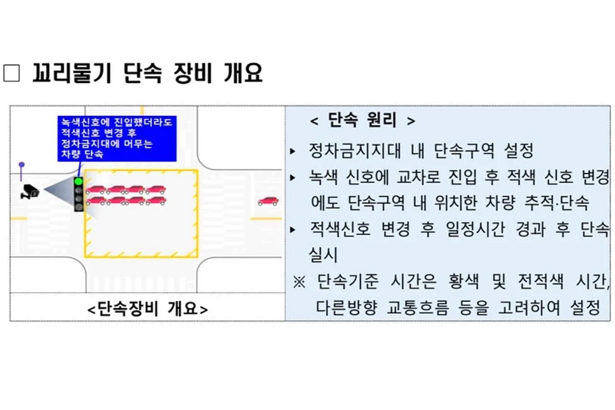 얌체-꼬리물기