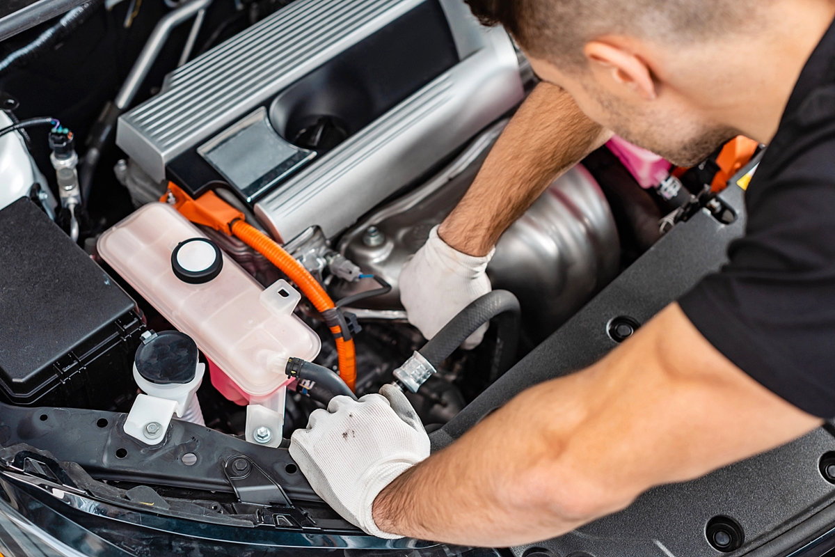 사진 출처 = 'Depositphotos'