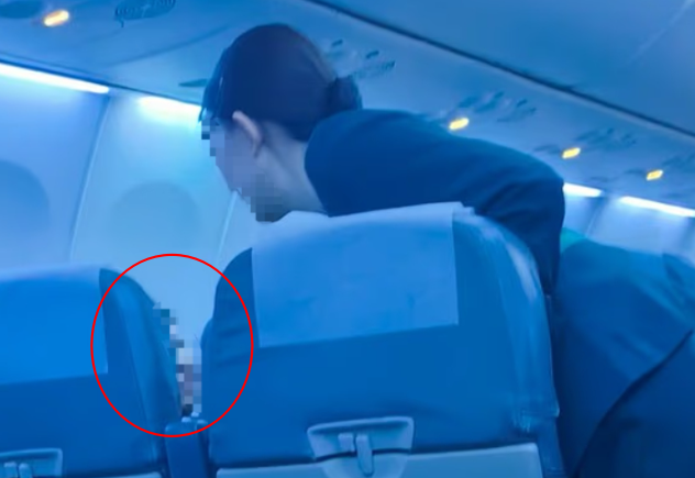 引用：デイリー・メール