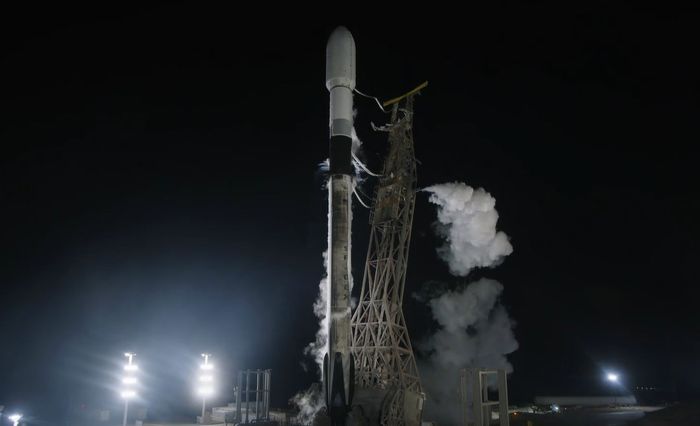 引用：ニューシス