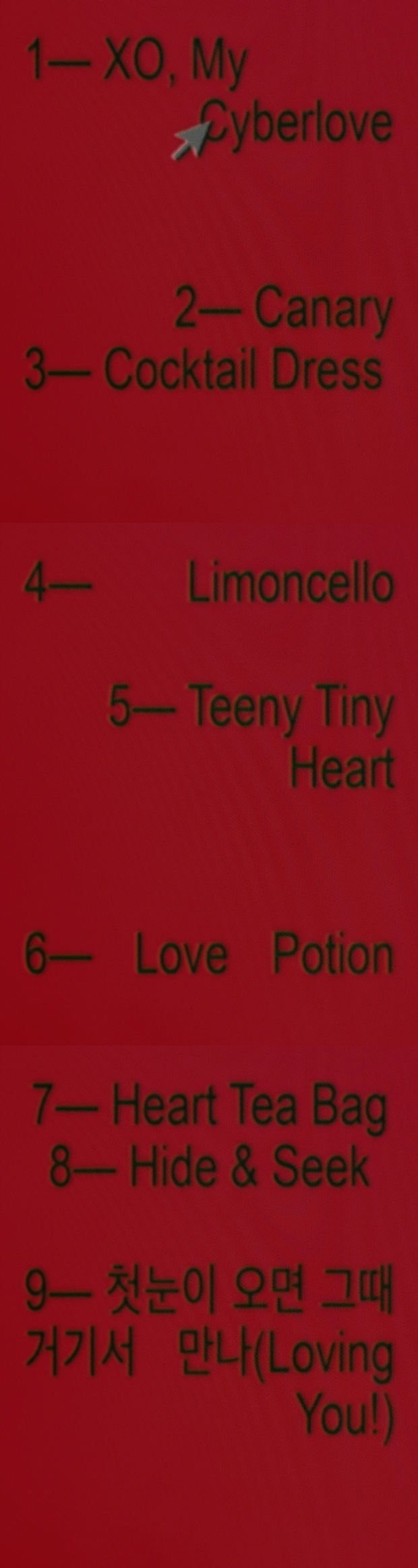 티브이데일리 포토