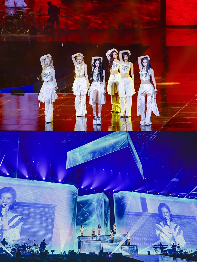 티브이데일리 포토