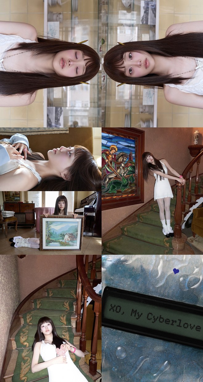 티브이데일리 포토