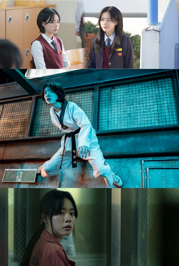 티브이데일리 포토