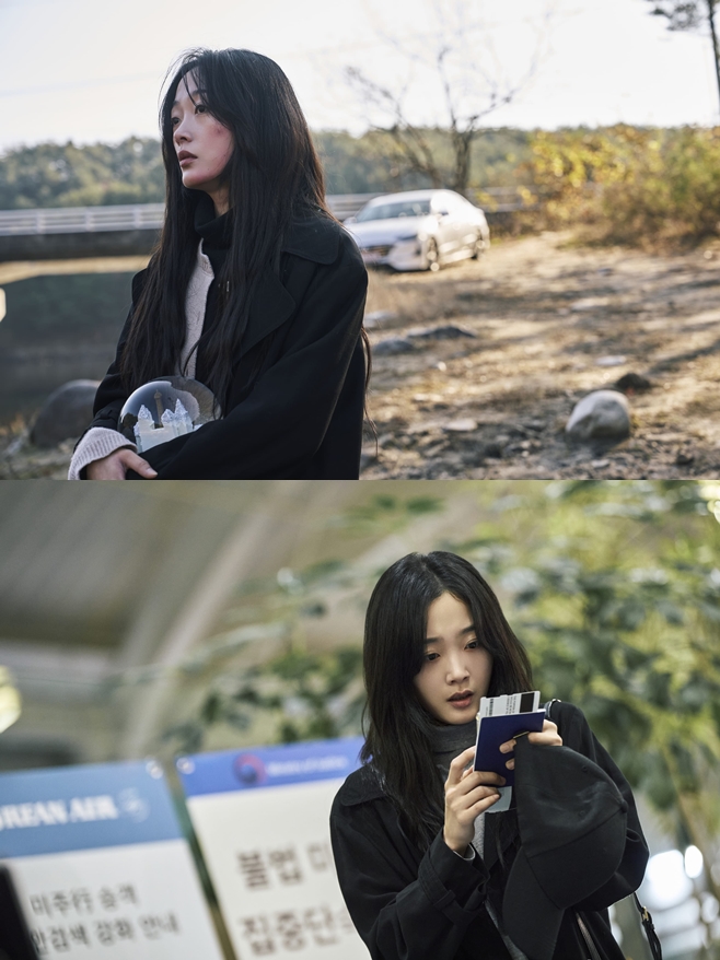 티브이데일리 포토