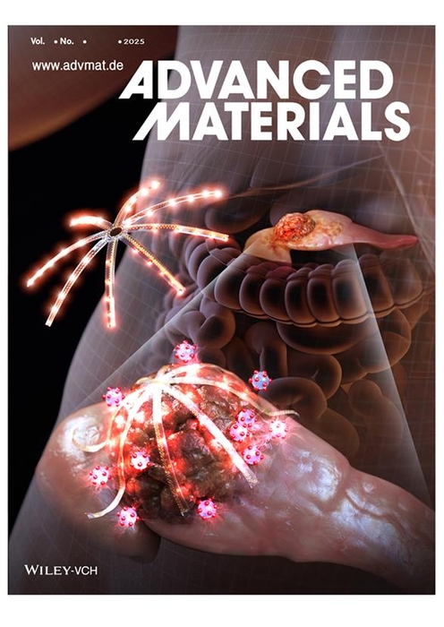 12월 10일 국제 학술지 'Advanced Materials' 표지논문 게재 이미지 (사진 = 한국과학기술원 제공)