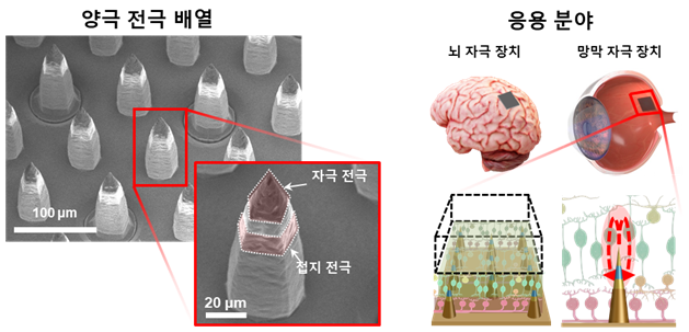 연구팀이 제작한 양극 전극 배열의 전자현미경(SEM) 관측 사진(왼쪽)과 적용 가능 분야. 연구재단 제공