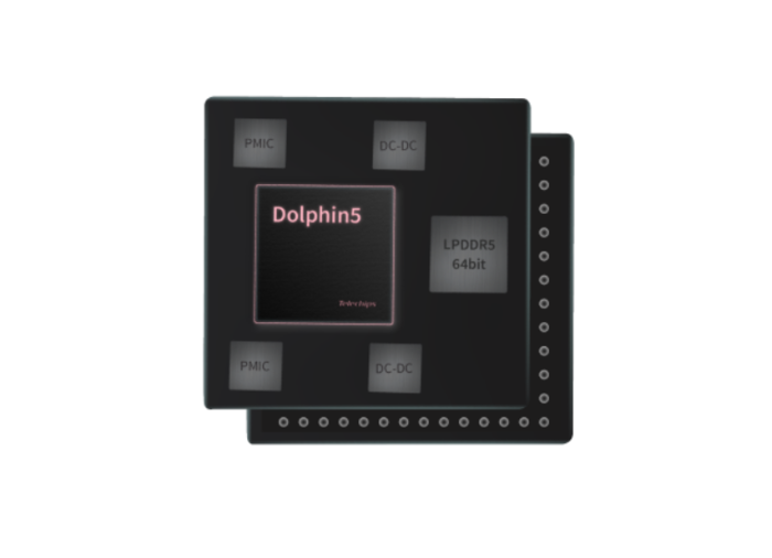 텔레칩스 차량용 AP '돌핀 5'