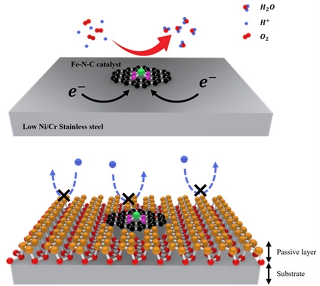 철-질소-탄소(Fe-N-C) 촉매 코팅을 통한 산화 피막 형성 촉진 메커니즘 이미지