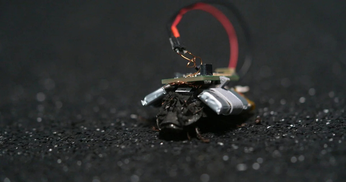 引用：60ミニッツ