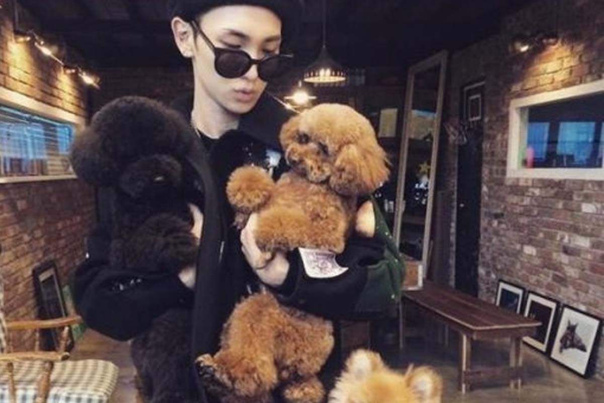 출처: 키 SNS