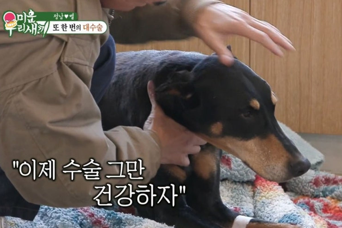 출처 : SBS '미운 우리 새끼'