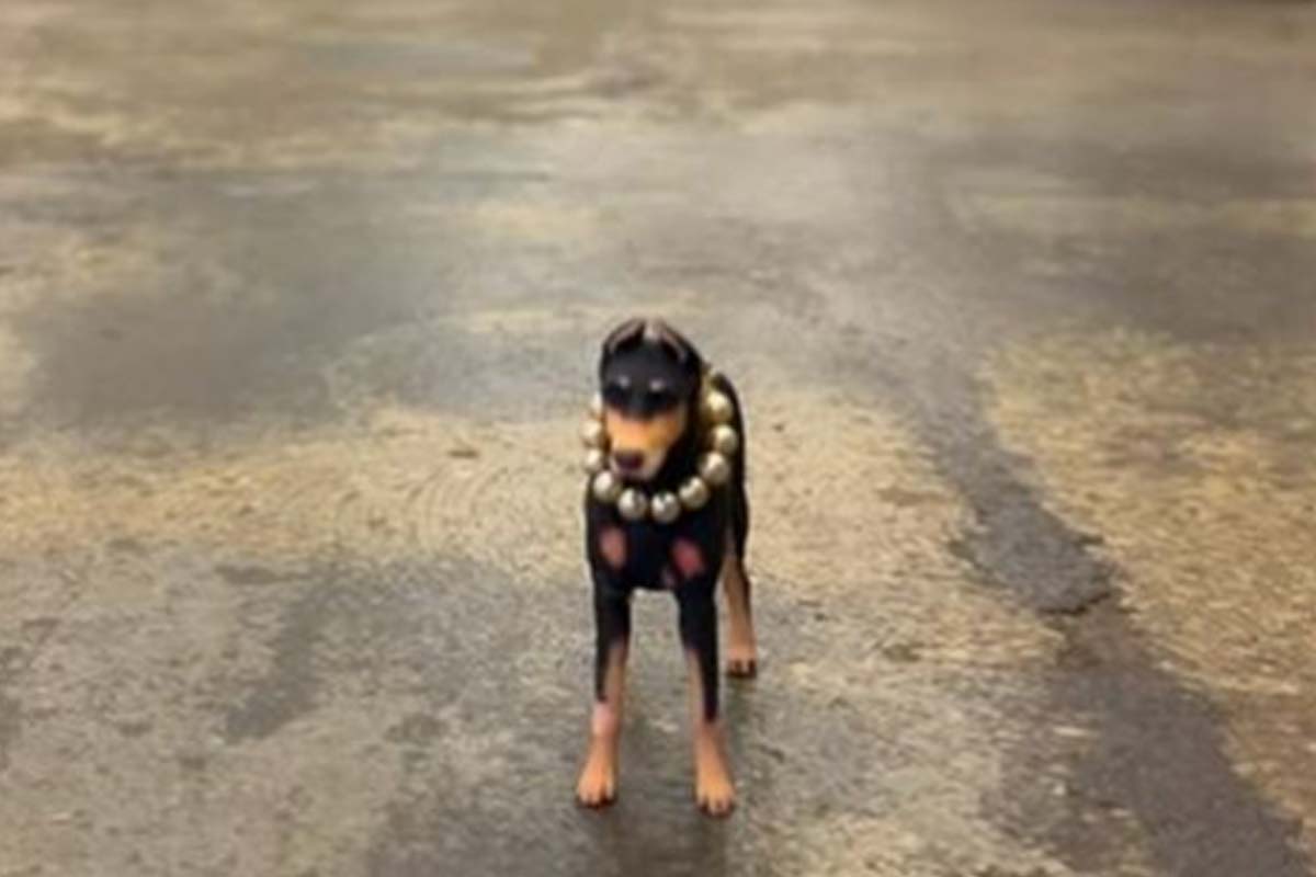 출처: 배정남 SNS