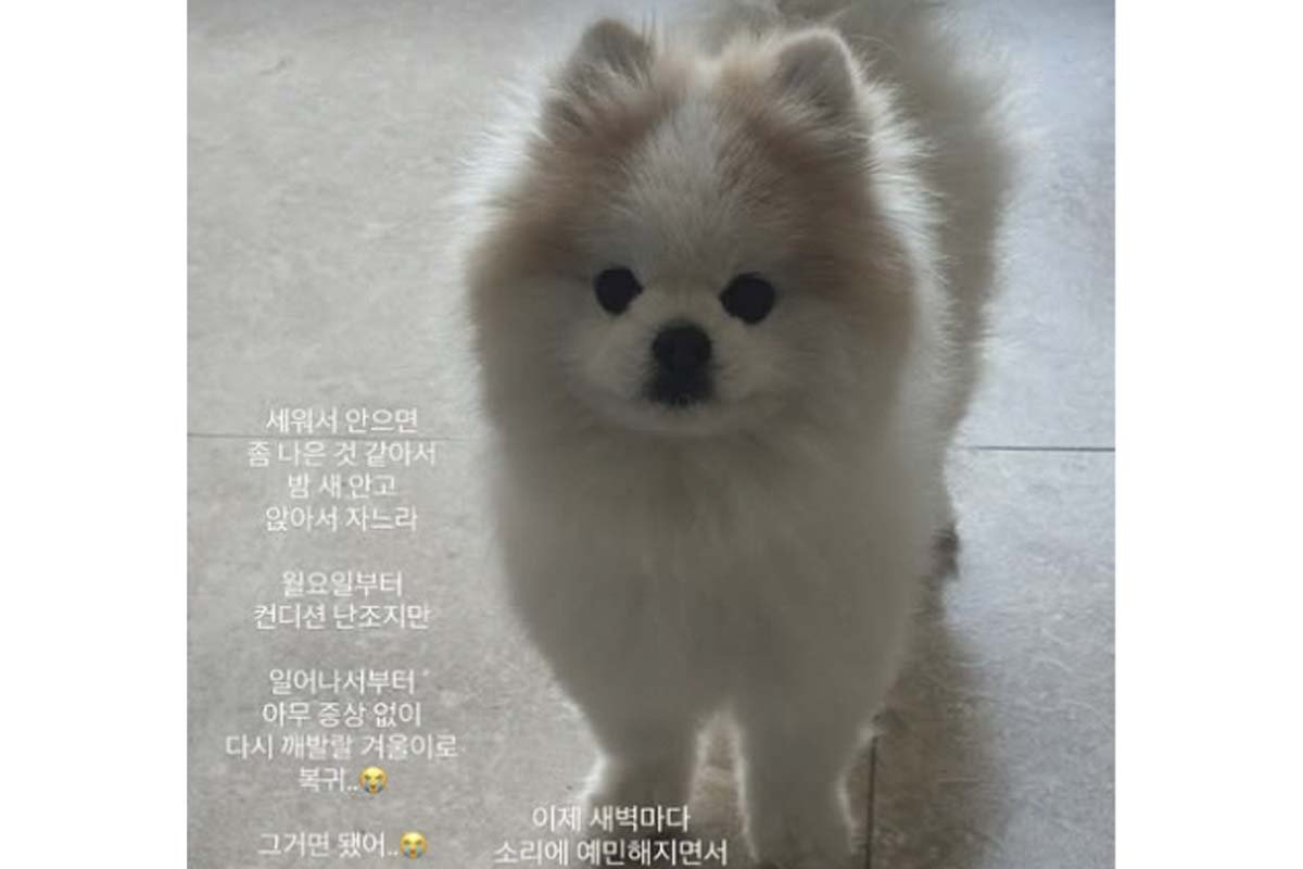 출처: 이솔이 SNS