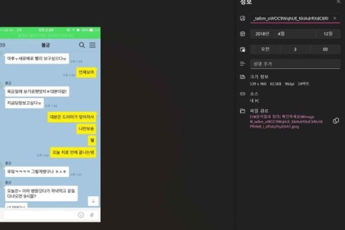 출처: 김새론 유족 측 자료